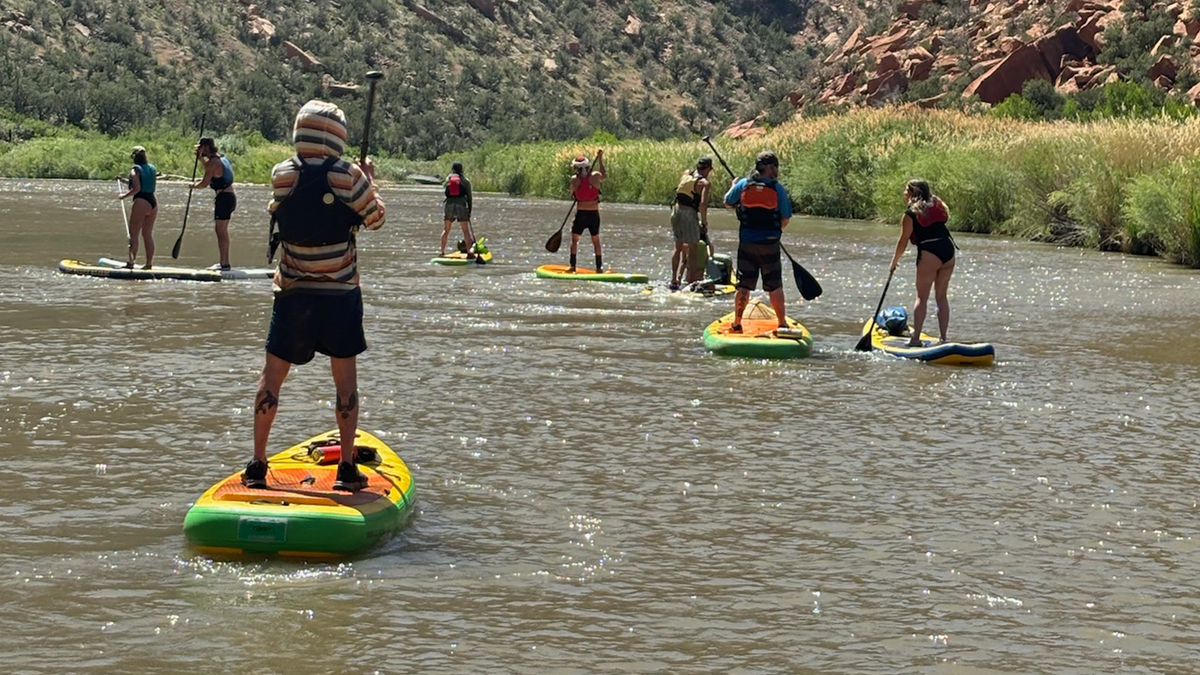 ALL PADDLE BOARDS