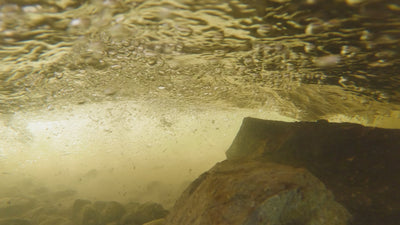 Watch how the Switchblade Retractable Fin System functions.